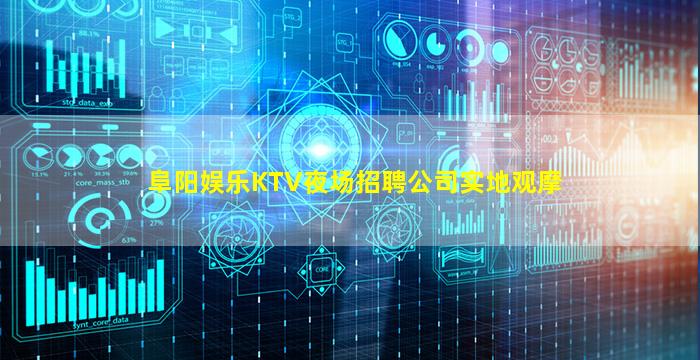 阜阳娱乐KTV夜场招聘公司实地观摩